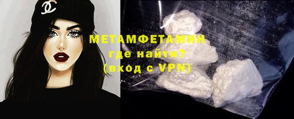 прущие грибы Магадан