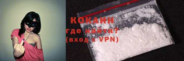 прущие грибы Магадан