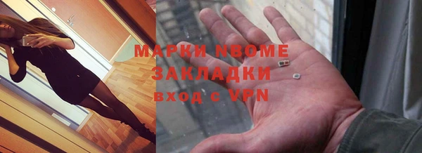 прущие грибы Магадан