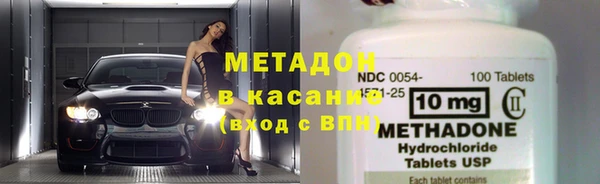 прущие грибы Магадан