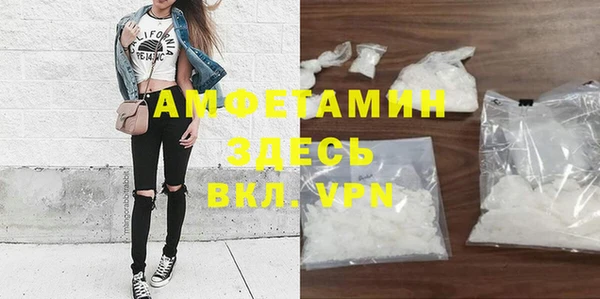 прущие грибы Магадан