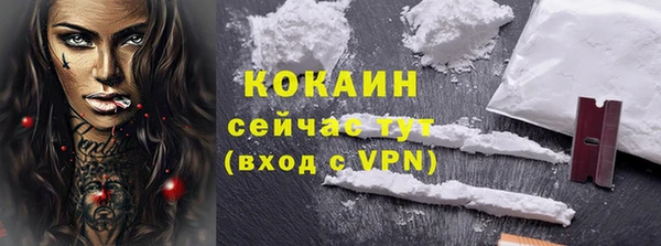 прущие грибы Магадан