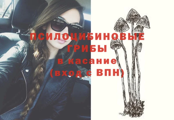 прущие грибы Магадан