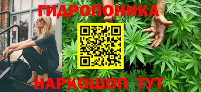 стаф Гагарин