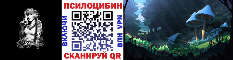 сколько стоит Каменск-Уральский ОМГ ОМГ зеркало Галлюциногенные грибы мицелий