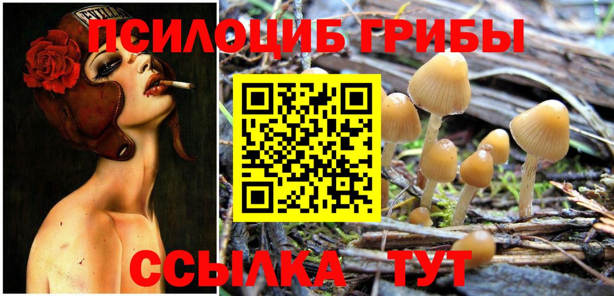 Каменск-Уральский  Псилоцибиновые грибы Cubensis  Вход с VPN 